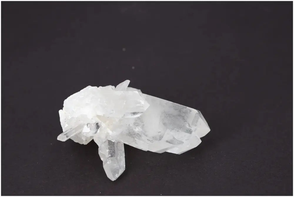 orbitvu|type:image2d