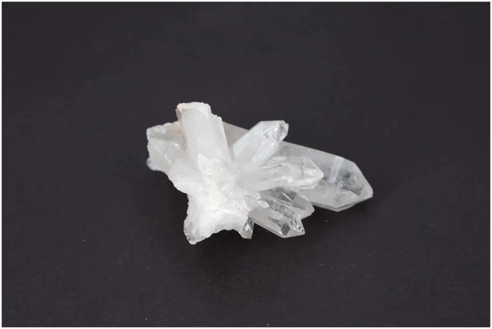 orbitvu|type:image2d