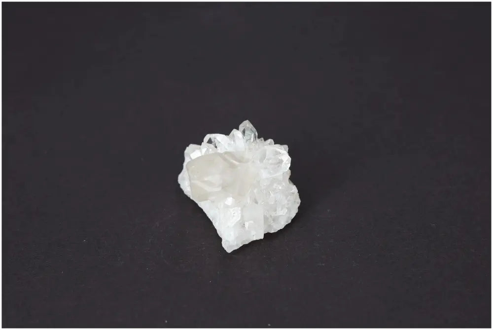 orbitvu|type:image2d