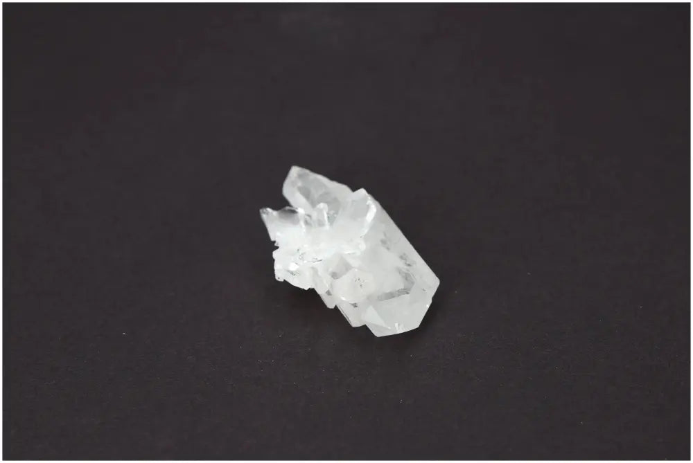 orbitvu|type:image2d