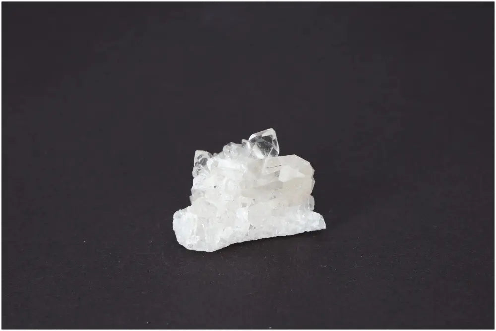 orbitvu|type:image2d