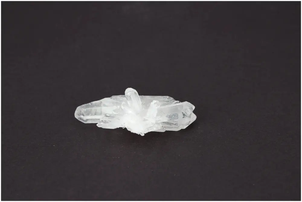 orbitvu|type:image2d