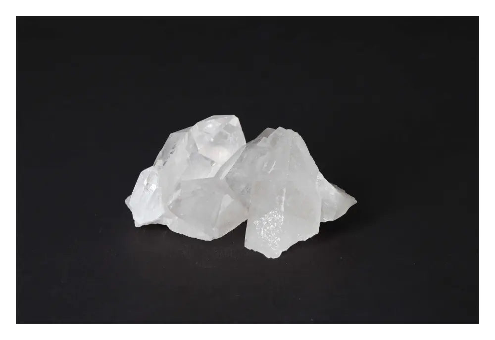 orbitvu|type:image2d