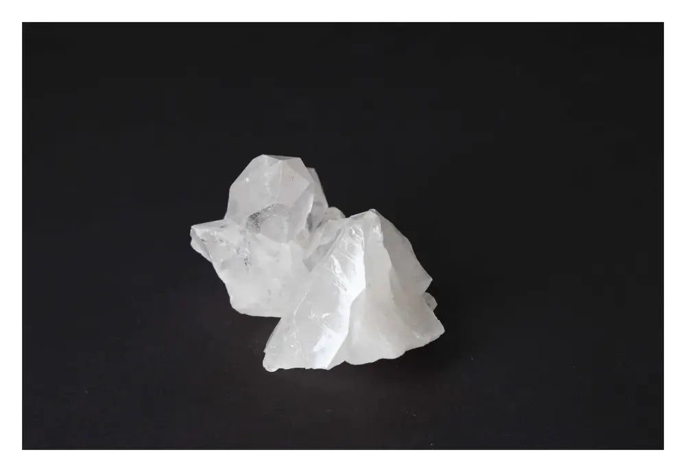 orbitvu|type:image2d