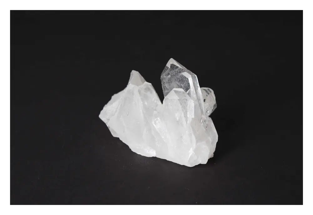 orbitvu|type:image2d