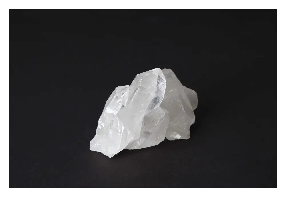 orbitvu|type:image2d