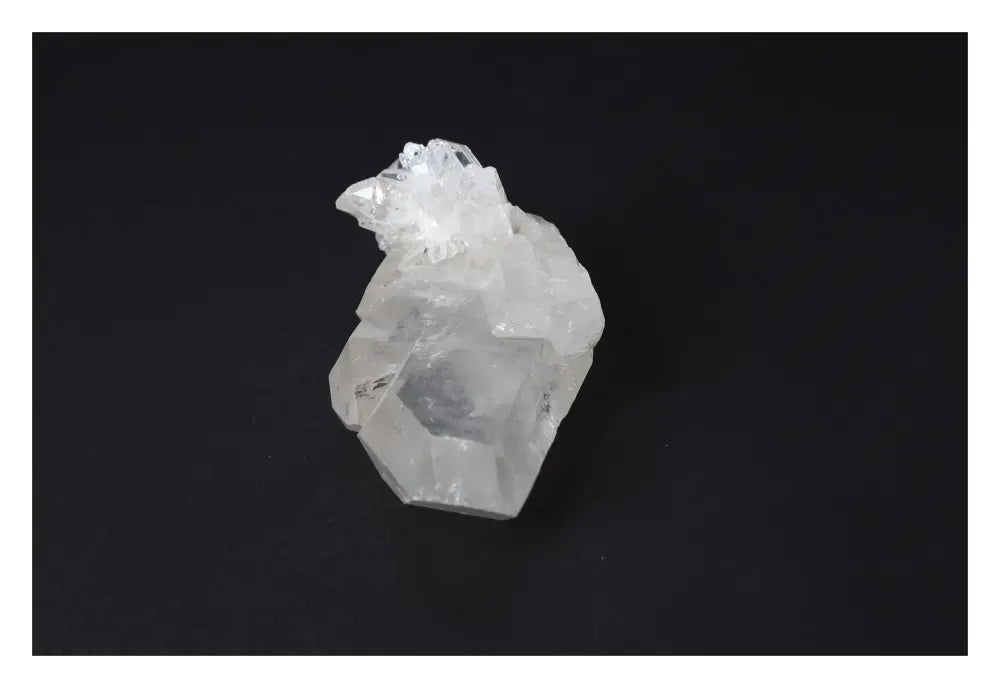 orbitvu|type:image2d