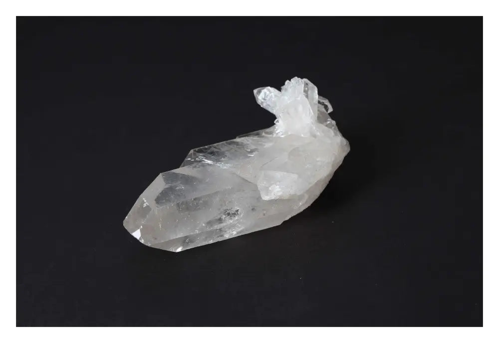 orbitvu|type:image2d