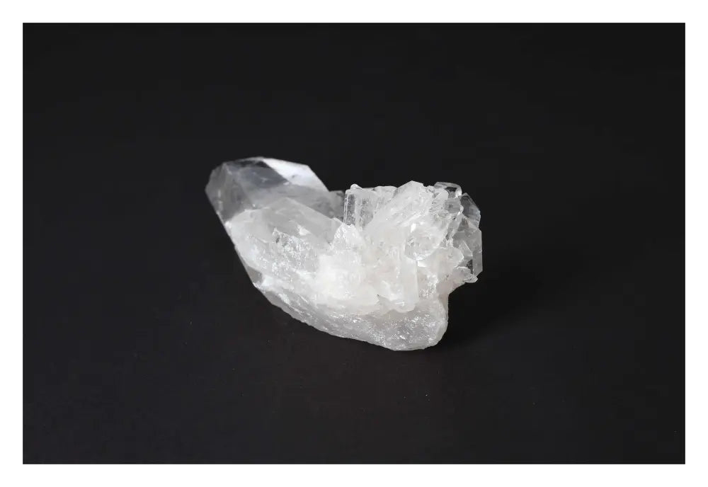 orbitvu|type:image2d