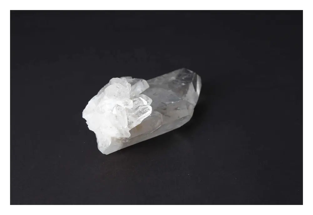 orbitvu|type:image2d