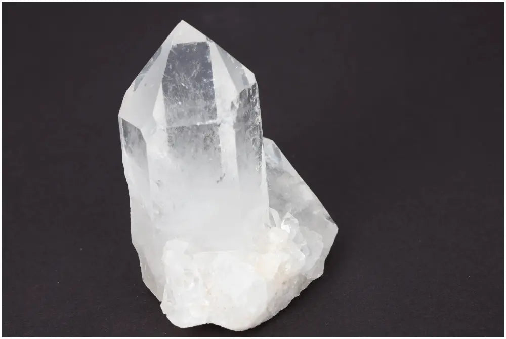 orbitvu|type:image2d