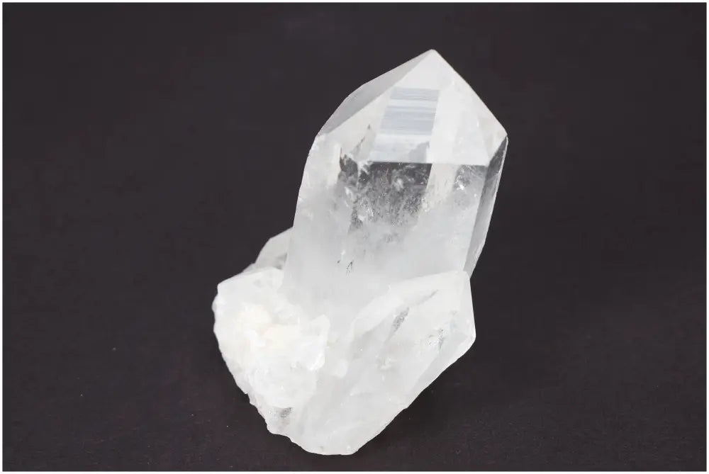 orbitvu|type:image2d