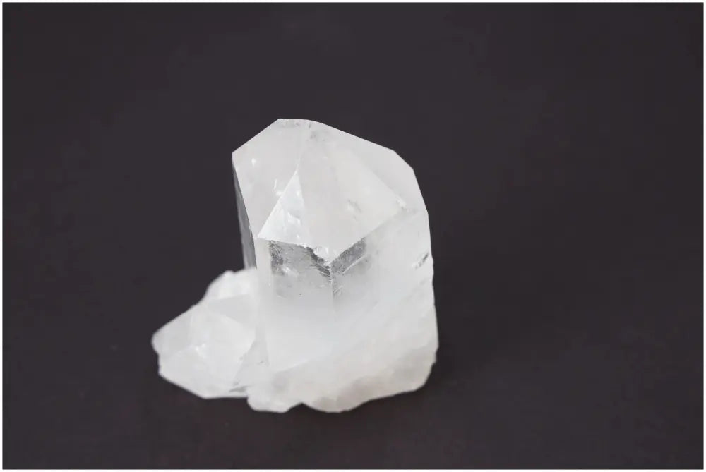 orbitvu|type:image2d