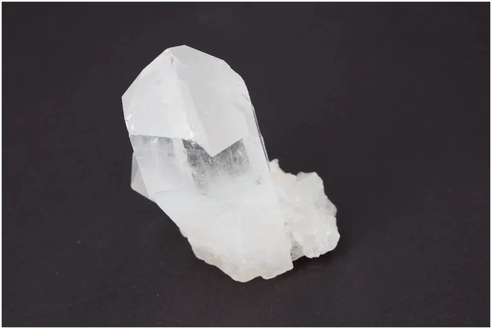 orbitvu|type:image2d