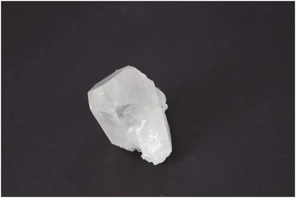 orbitvu|type:image2d