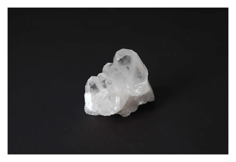 orbitvu|type:image2d