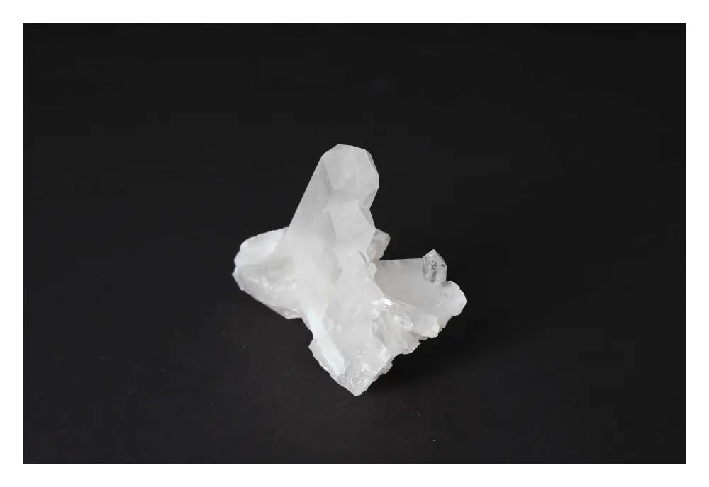 orbitvu|type:image2d