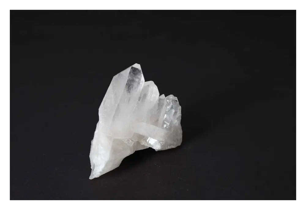 orbitvu|type:image2d