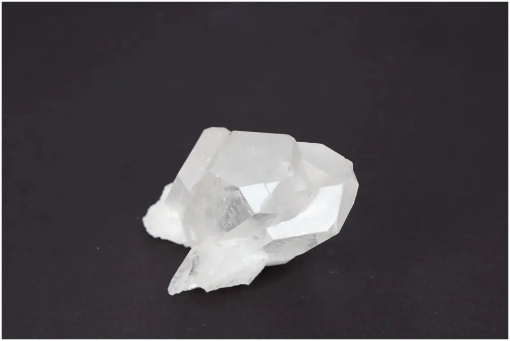 orbitvu|type:image2d