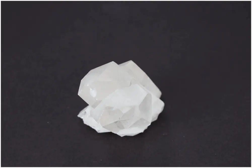 orbitvu|type:image2d