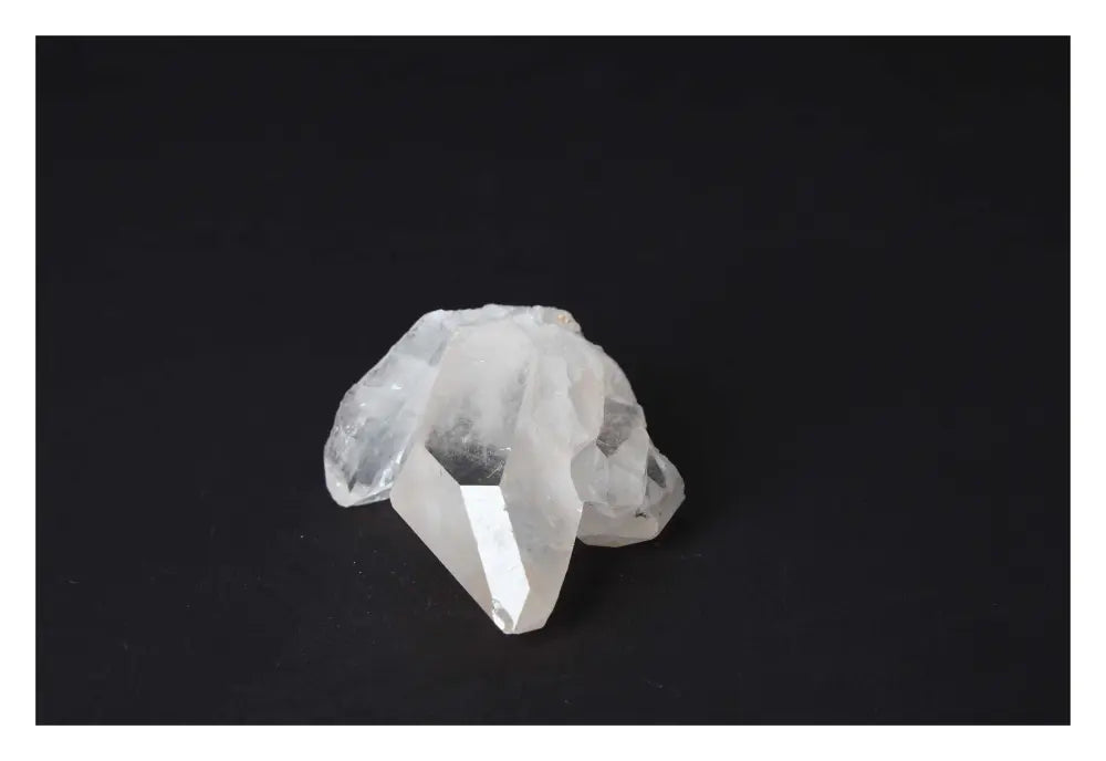 orbitvu|type:image2d