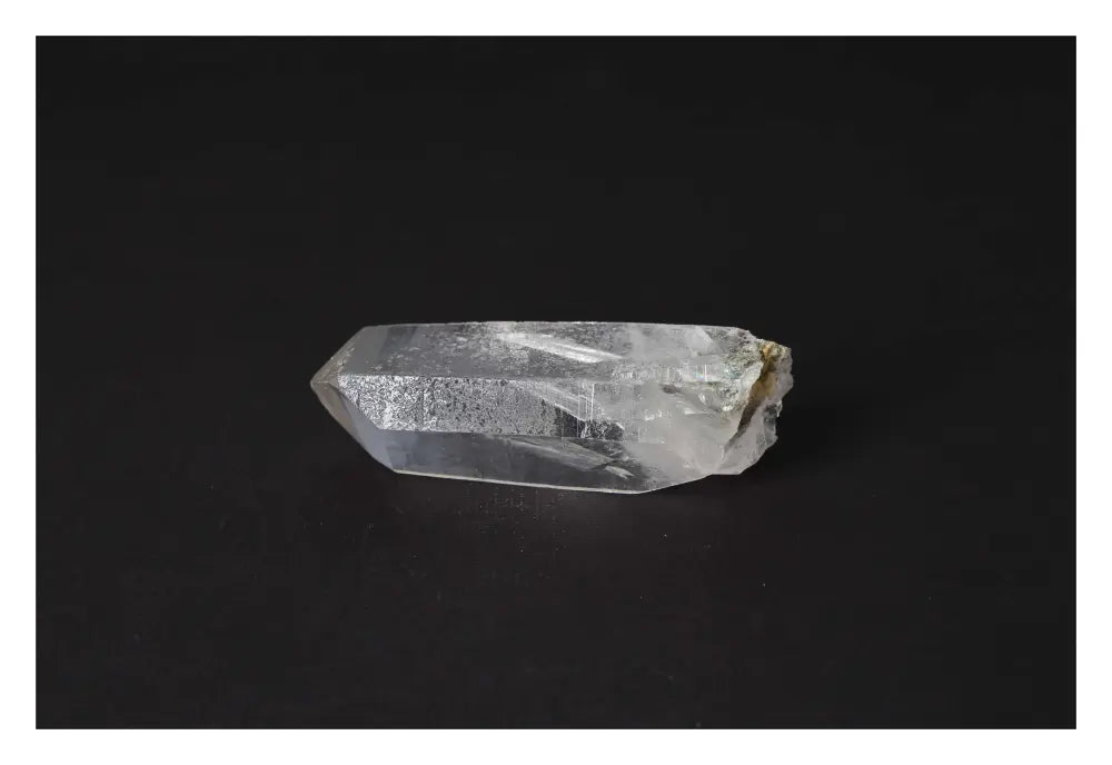 orbitvu|type:image2d