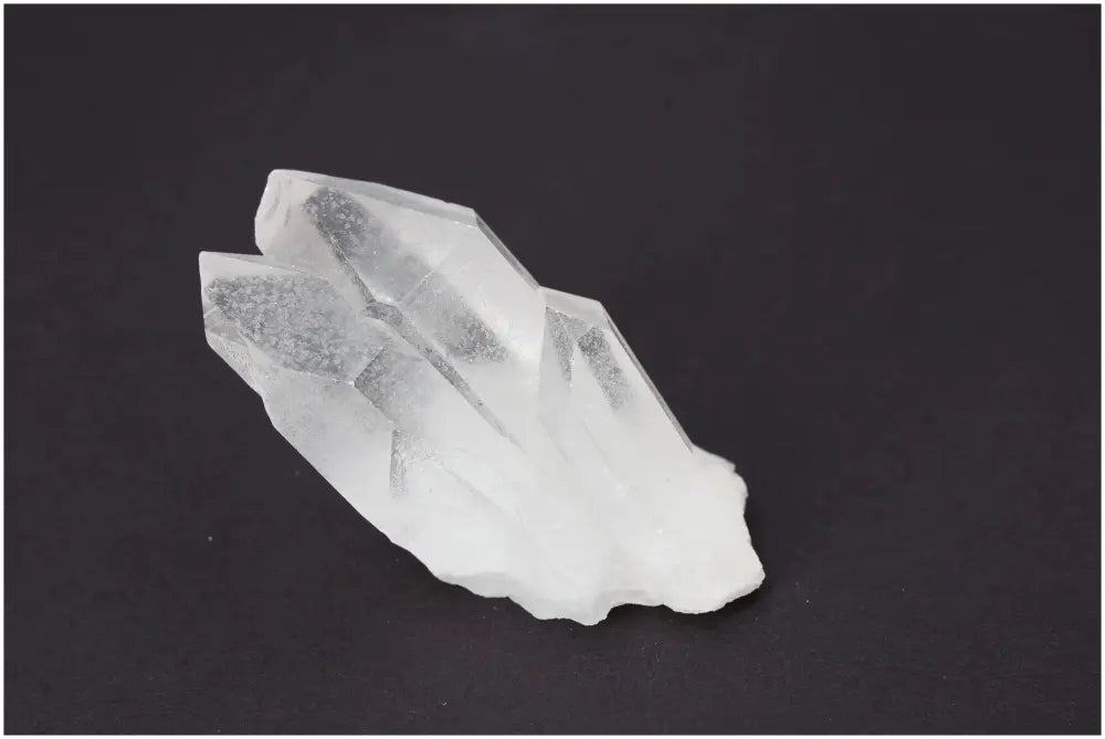 orbitvu|type:image2d