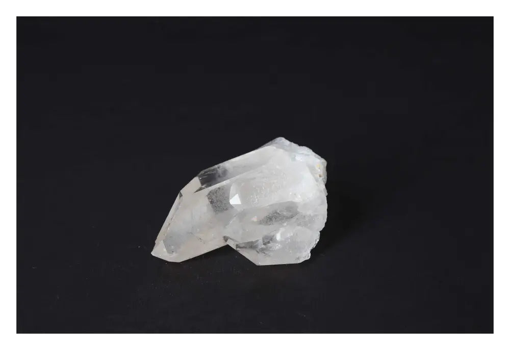 orbitvu|type:image2d