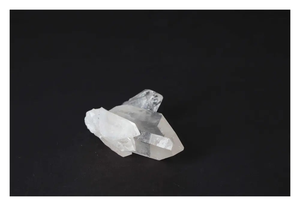 orbitvu|type:image2d