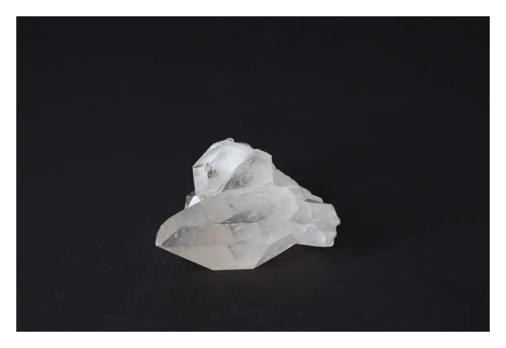 orbitvu|type:image2d