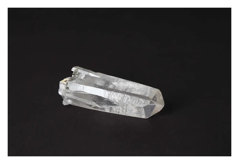 orbitvu|type:image2d