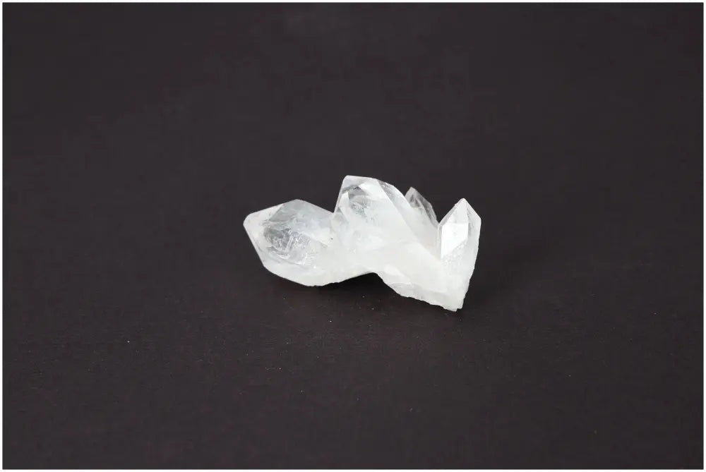 orbitvu|type:image2d