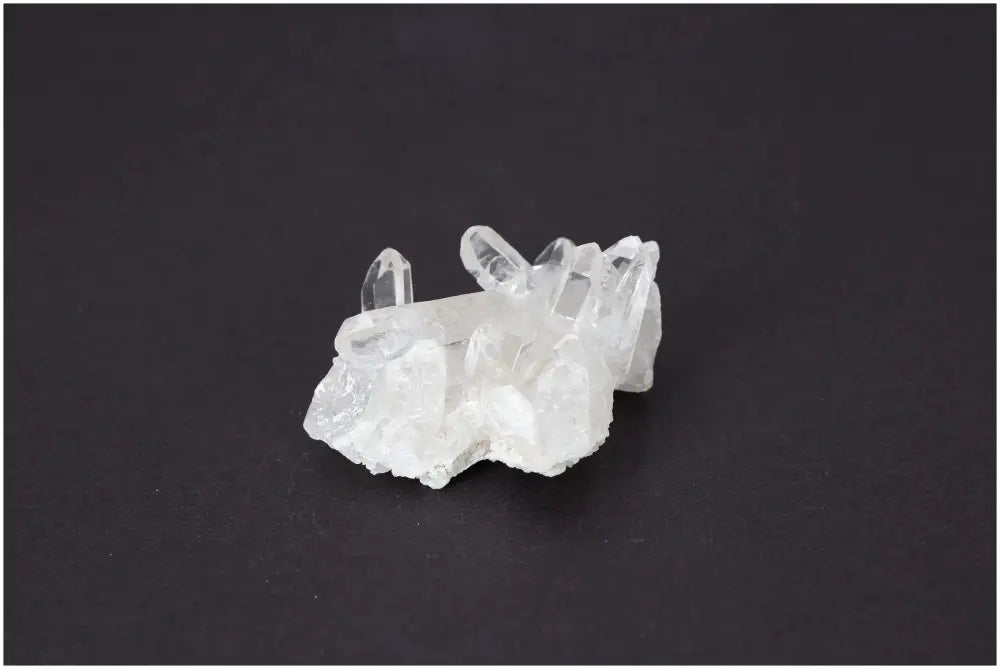 orbitvu|type:image2d