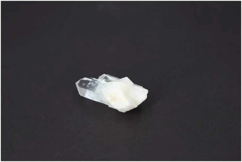 orbitvu|type:image2d