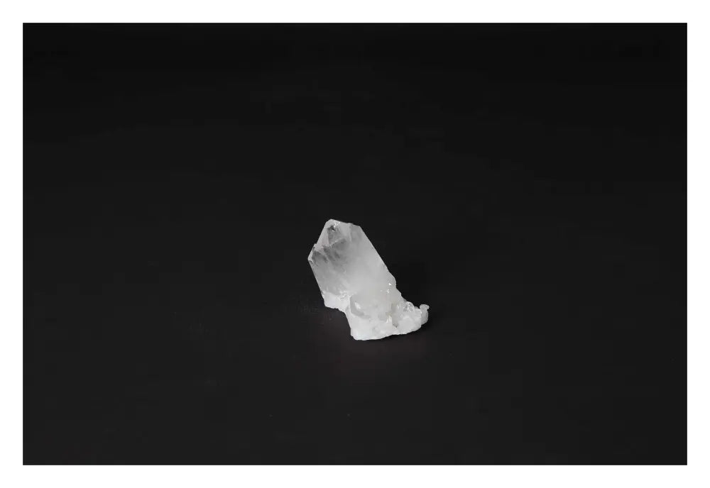 orbitvu|type:image2d