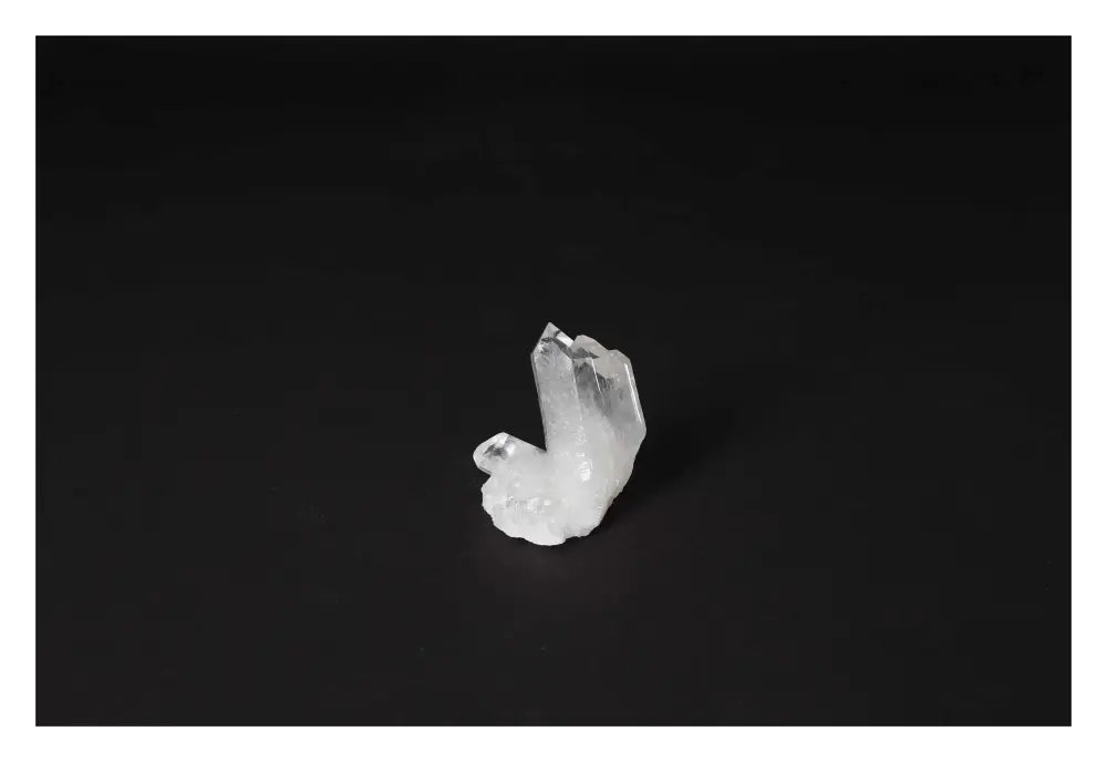 orbitvu|type:image2d