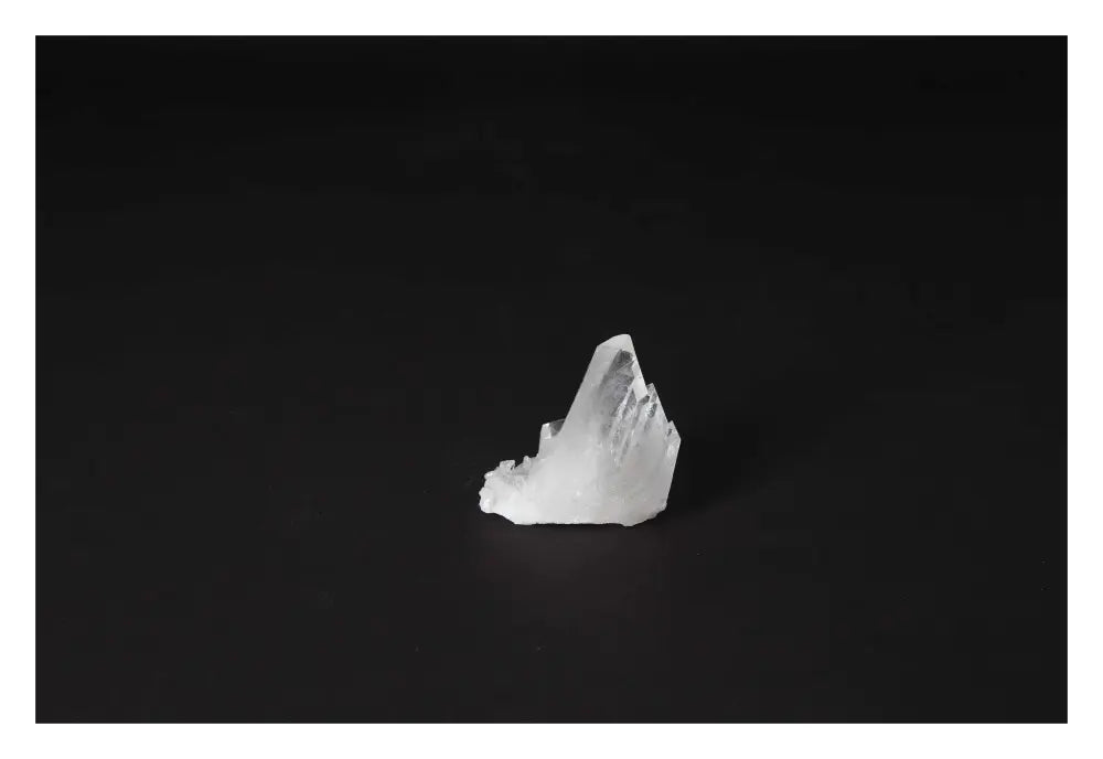 orbitvu|type:image2d