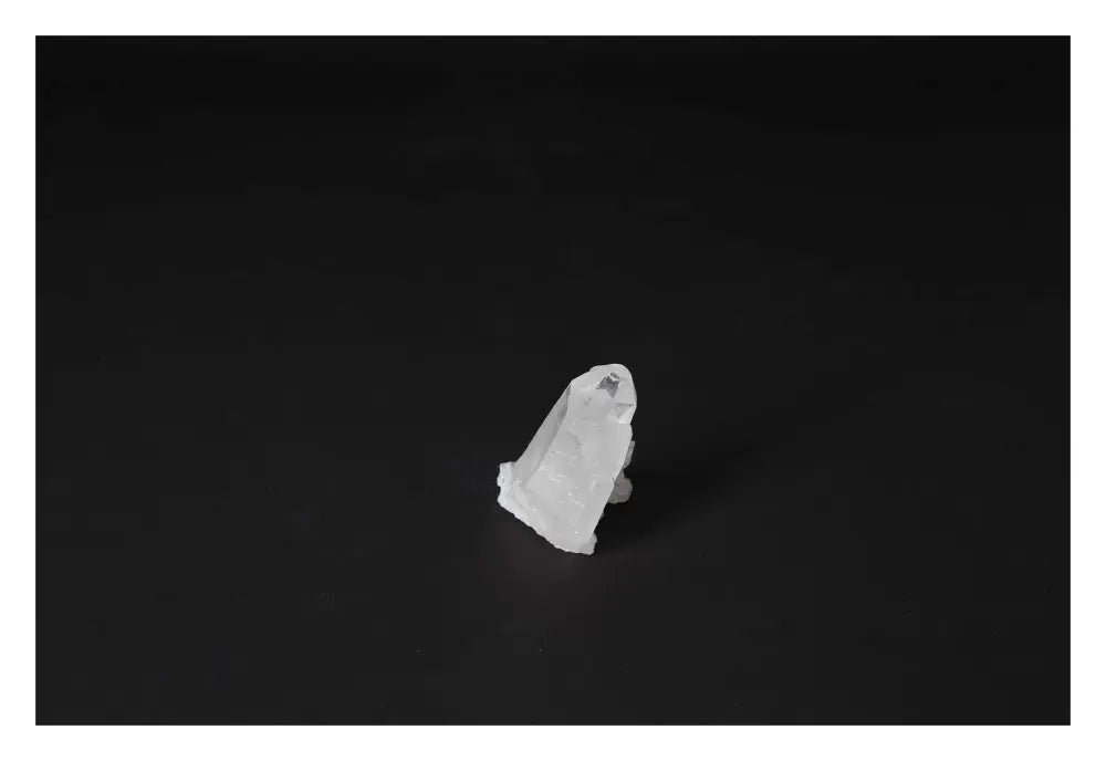 orbitvu|type:image2d