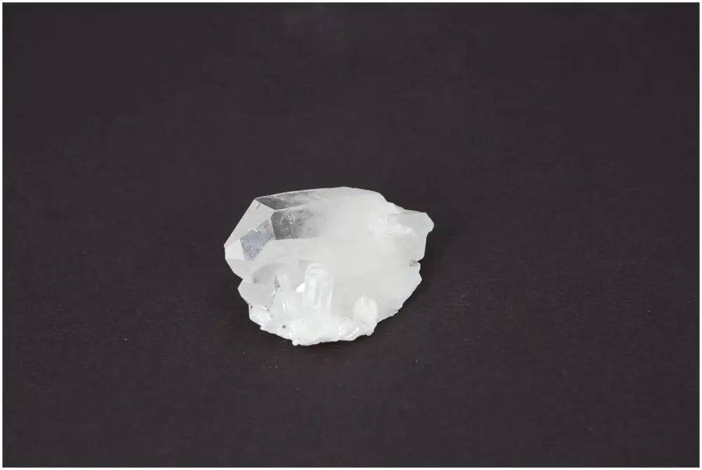 orbitvu|type:image2d