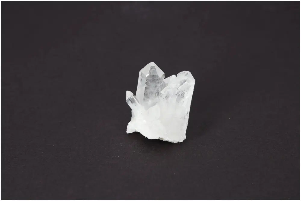 orbitvu|type:image2d