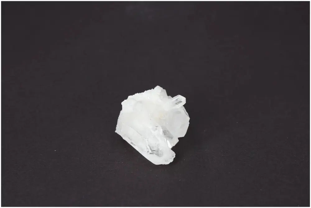 orbitvu|type:image2d