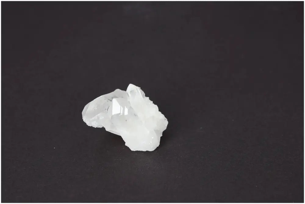 orbitvu|type:image2d