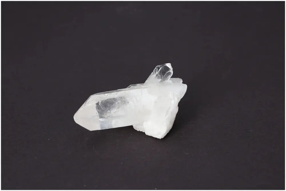 orbitvu|type:image2d