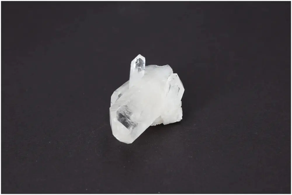 orbitvu|type:image2d