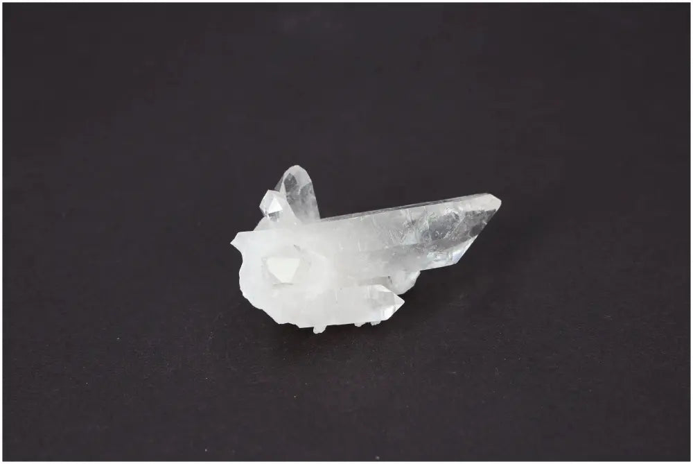 orbitvu|type:image2d