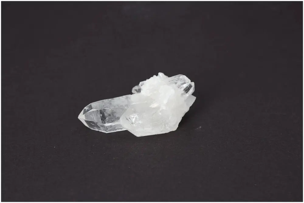 orbitvu|type:image2d