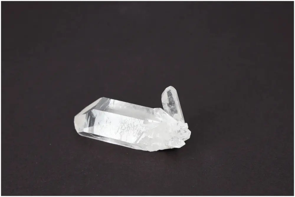 orbitvu|type:image2d