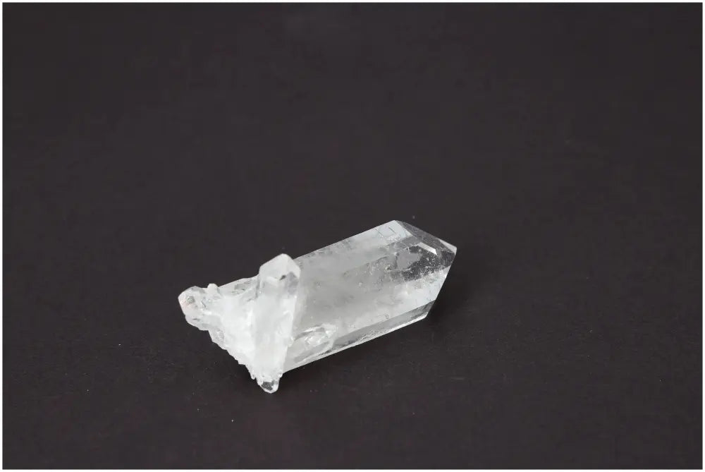 orbitvu|type:image2d