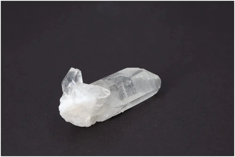 orbitvu|type:image2d