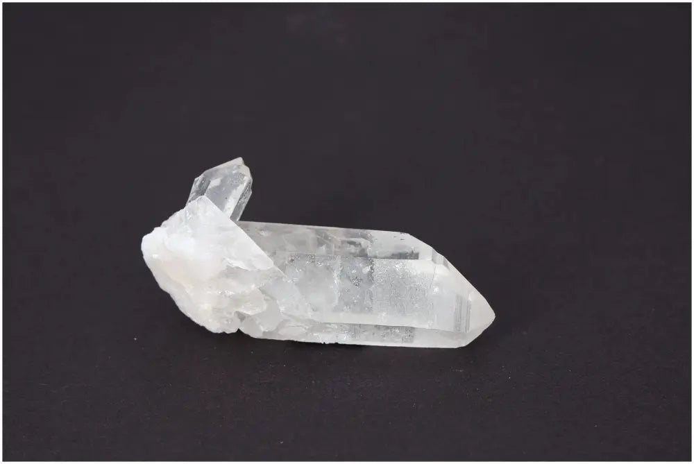 orbitvu|type:image2d